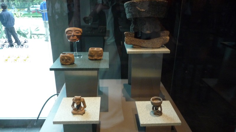 P1000234.JPG