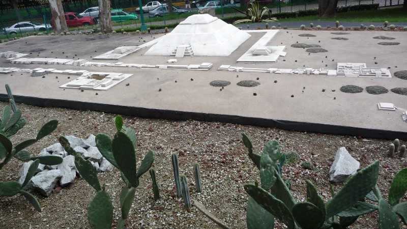 P1000236.JPG