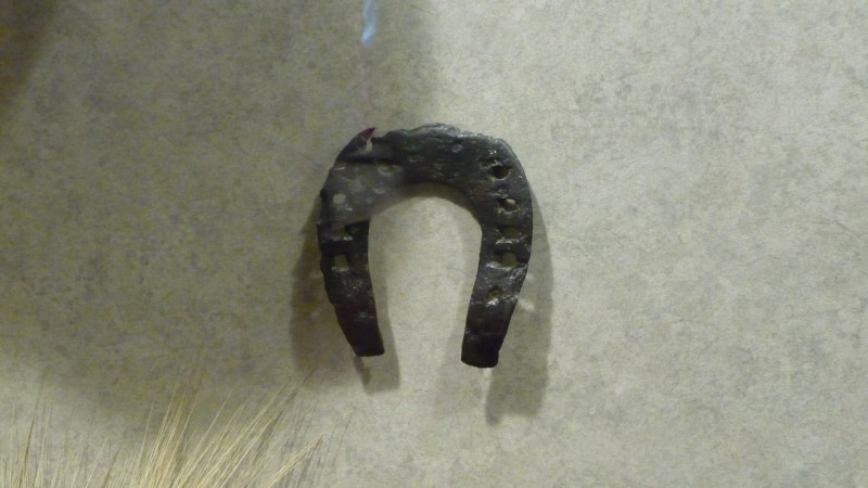 P1000255.JPG