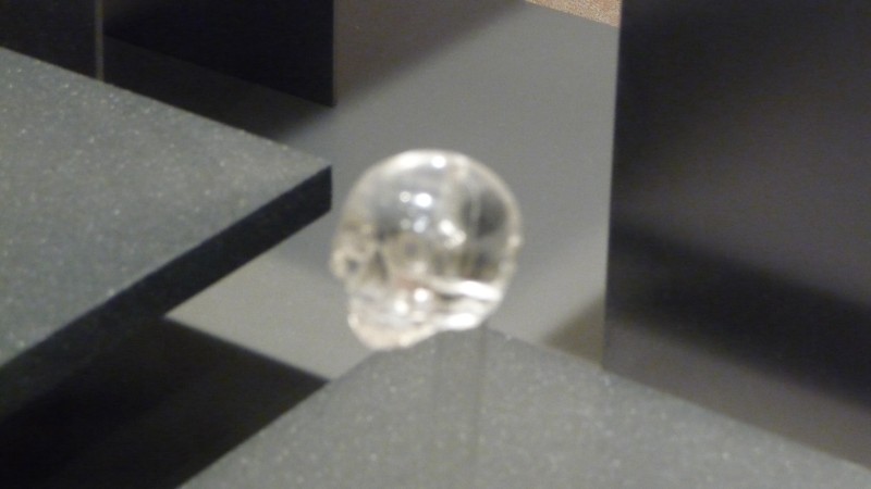 P1000263.JPG
