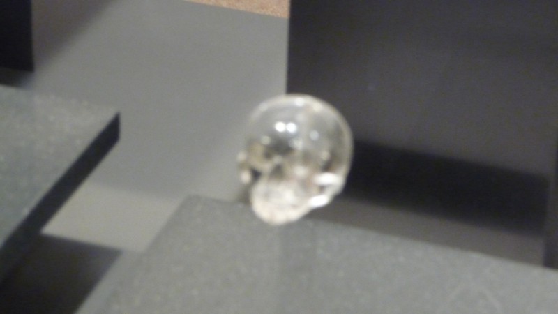 P1000264.JPG