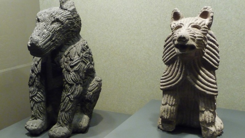 P1000270.JPG