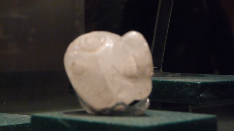 P1000121.JPG