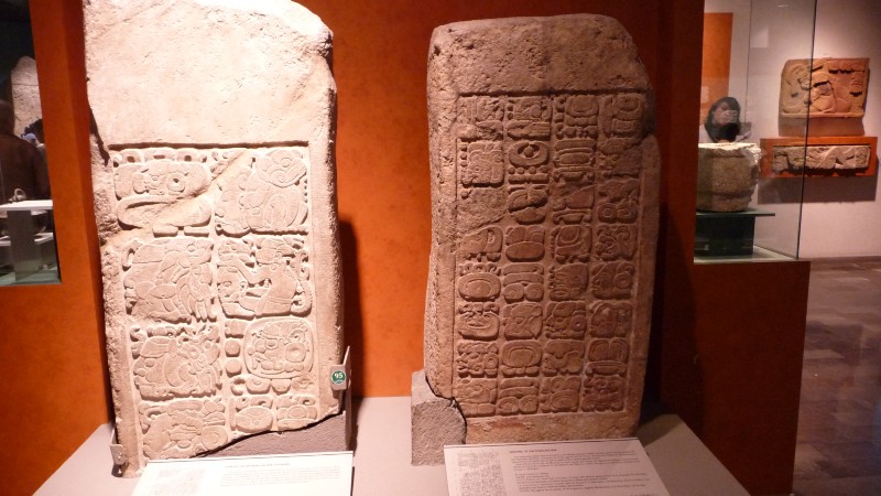 P1000130.JPG