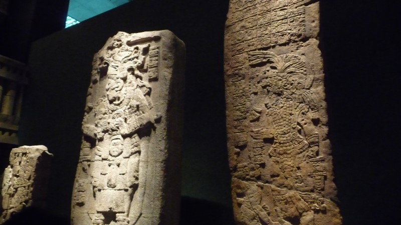 P1000139.JPG