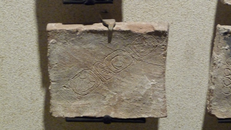 P1000149.JPG