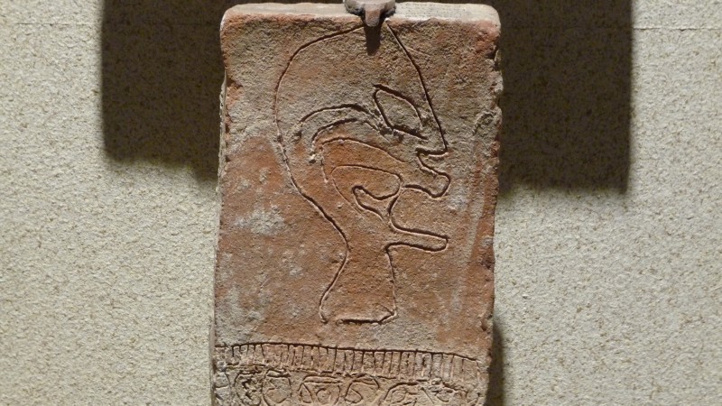 P1000150.JPG