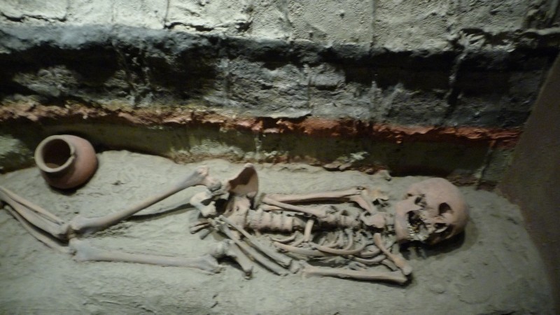 P1000179.JPG