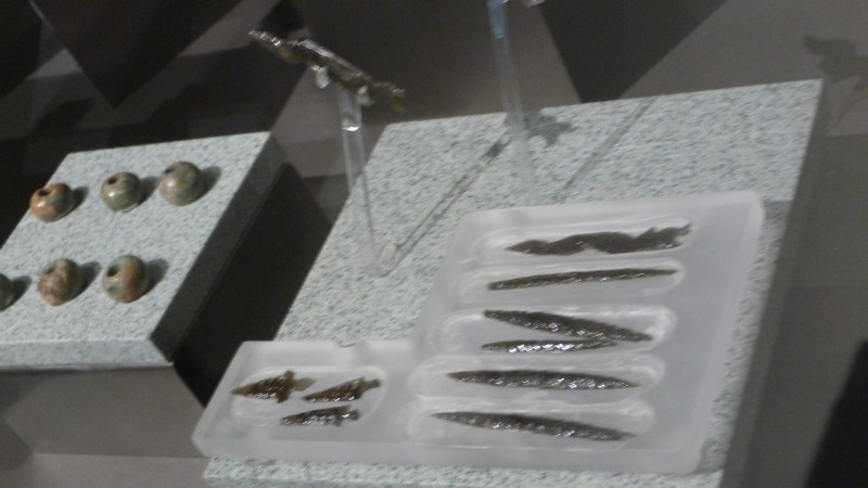 P1000216.JPG