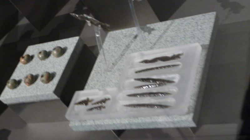 P1000217.JPG